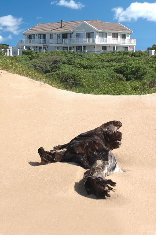 The Beach House พอร์ตอัลเฟรด ภายนอก รูปภาพ